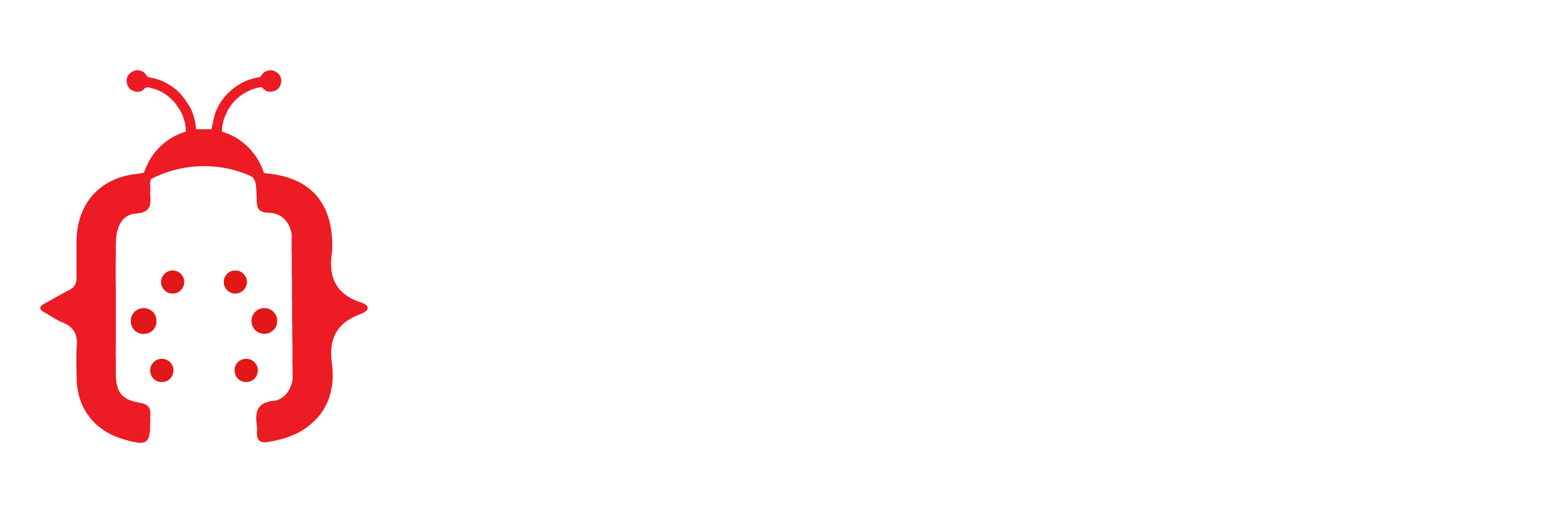 LaraBug